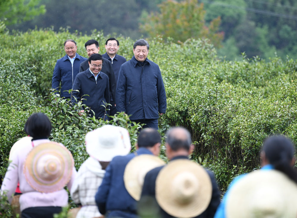 2020年4月21日，習(xí)近平來到陜西省安康市平利縣老縣鎮(zhèn)，在茶園考察脫貧攻堅情況。新華社記者 燕雁 攝